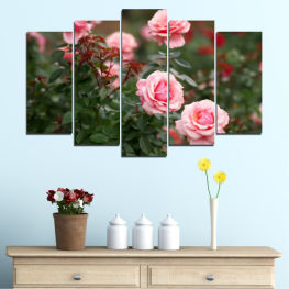 Flowers, Flower, Garden, Bouquet, Rose, Love, Plant, Blossom, Gift, Bloom, Pink, Woody plant, Roses, Petals, Floral, Petal, Vascular plant, Shrub, Camellia