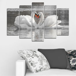 Wildlife, Water, Birds, Lake, Animals, Natural, Swan, Reflection, Heart, River, Love, Life, Feather, Wings, Wild, Elegance, White, Bird, Pond, Majestic, Two, Waterfowl, Goose, Feathers, Beak, Aquatic bird, Egret, Heron