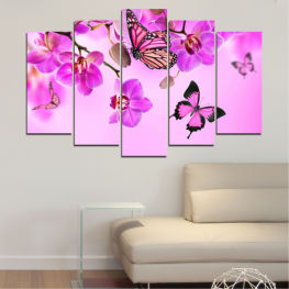 Flowers, Orchid, Spring, Flower, Summer, Butterfly, Lilac, Decoration, Leaf, Graphic, Plant, Blossom, Design, Decor, Shape, Pink, Decorative, Pattern, Floral, Frame, Swirl