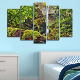 Landscape, Nature, Waterfall, Water, Forest, Tree, Mountain, River, Rocks, Park, Stone, Rock, Fall, Environment, Woody plant, Stream, Cascade, Flowing, Outdoor, Vascular plant, Moss, Bonsai
