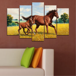 Животни, Животни, Кон, Поляна, Рисунка, Трева, Поле, Кафяв, Ферма, Паша, Чистокръвен, Ранчо, Селски, Коне, Жребец, Конски, Конен спорт, Кобила, Киселец, Жребче