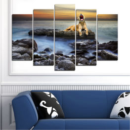 Sea, Landscape, Animal, Beach, Water, Sunset, Coast, Summer, Ocean, Sky, Wave, Tropical, Rocks, Tiger, Coastline, Stone, Travel, Vacation, Rock, Outdoor, Snorkel, Shore, Breathing device, Device