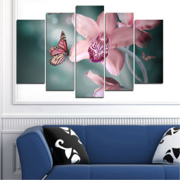 Flowers, Orchid, Spring, Water, Flower, Garden, Summer, Butterfly, Flora, Leaf, Leaves, Plant, Blossom, Bloom, Pink, Petals, Blooming, Floral, Petal, Botany, Lily, Lotus