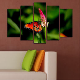 Flowers, Nature, Spring, Flower, Garden, Summer, Butterfly, Colorful, Plant, Wings, Orange, Herb, Insect, Close, Wing, Arthropod, Antenna, Flying, Monarch, Nectar