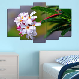 Flowers, Spring, Flower, Garden, Summer, Exotic, Flora, Natural, Decoration, Fresh, Plant, Blossom, Plumeria, Tropical, Bloom, Pink, Woody plant, Floral, Petal, Vascular plant, Shrub