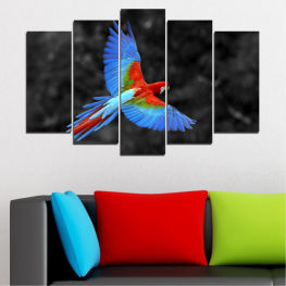 Animal, Wildlife, Birds, Exotic, Colorful, Color, Tropical, Feather, Wings, Parrot, Yellow, Wild, Bird, Beak, Close, Macaw, Wing, Cockatoo