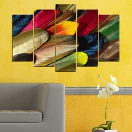 Abstraction, Flower, Garden, Flora, Light, Colorful, Plant, Color, Feather, Orange, Yellow, Pattern, Floral, Petal, Texture, Writing implement, Close, Balloon, Quill, Paddle