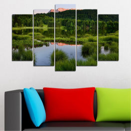 Landscape, Nature, Water, Forest, Tree, Lake, Mountain, Trees, Summer, Reflection, River, Grass, Plant, Outdoors, Park, Land, Pond, Rural, Aquatic, Swamp, Wetland