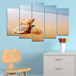 Sea, Animal, Beach, Water, Coast, Summer, Exotic, Ocean, Sky, Natural, Seaside, Sand, Tropical, Relaxation, Travel, Vacation, Shell, Seashell, Conch, Hermit crab, Crustacean, Gastropod, Mollusk, Invertebrate, Arthropod