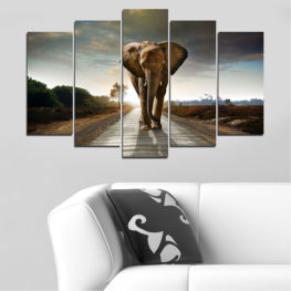 Животни, Дивата природа, Животни, Естествен, Парк, Пътуване, Път, Див, Слон, Ваканция, Пустиня, Сафари, Савана, Мощен, Тревопасен, Силен, Национален, Бозайник, Багажник, Бивник, Слонова кост, Слонове, Уши, Застрашен от изчезване, Пет, Бивник, Запазване, Бик