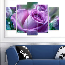 Flowers, Spring, Flower, Garden, Bouquet, Summer, Flora, Rose, Leaf, Plant, Purple, Blossom, Bloom, Pink, Petals, Blooming, Floral, Petal, Close, Shrub