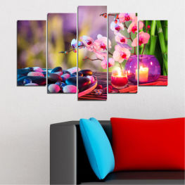 Flowers, Feng shui, Orchid, Spring, Flower, Natural, Zen, Stones, Decoration, Colorful, Spa, Tulip, Plant, Color, Relaxation, Candle, Holiday, Bright, Health, Pink, Celebration, Therapy, Floral, East wind, Treatment