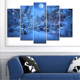 Landscape, Forest, Tree, Trees, Moon, Night, Snow, Winter, Outdoors, Park, Season, Weather, Branch, Frost, Frozen, Cold, Background, Screen