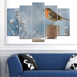 Животни, Дивата природа, Пролет, Птици, Дърво, Градина, Сняг, Зима, Пера, На открито, Див, Птица, Метеорологично време, Кафяв, Сладък, Пера, Клюн, Крило, Птичи, Врабче