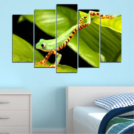 Abstraction, Animal, Wildlife, Tree, Animals, Leaf, Frog, Reptile, Fauna, Amphibians, Eye frog, Crazy frog, Eyed leaf frog, Bulging, Frogs, Look, Eyed tree frog, Eyed, Amphibian, Tree frog