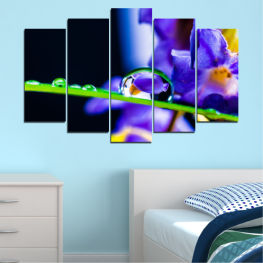 Цветя, Природа, Космос, Светлина, Цветен, Капки, Графичен, Лилаво, Цвят, Дизайн, Фантазия, Движение, Текстура, Вещи, Дигитален, Тапет, Фрактал, Устройство, Сдържаност, Закопчалка, Щипка за пране