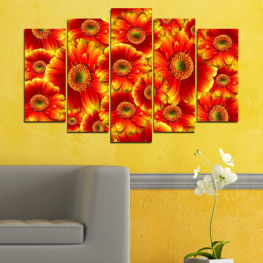 Flowers, Spring, Flower, Daisy, Garden, Bouquet, Summer, Flora, Collage, Colorful, Plant, Gerbera, Blossom, Orange, Yellow, Bloom, Herb, Petals, Floral, Petal, Botany, Vascular plant