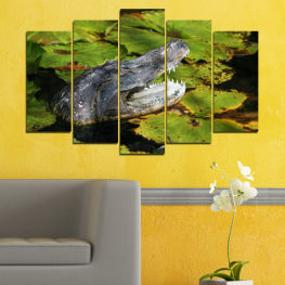 Animal, Wildlife, Water, Lake, Natural, River, Stone, Wild, Rock, Crocodile, Reptile, Stream, Pond, Head, Predator, Dangerous, Aquatic, Alligator, Mouth