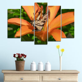 Flowers, Nature, Spring, Flower, Garden, Summer, Butterfly, Flora, Sunflower, Leaf, Plant, Blossom, Yellow, Bloom, Petals, Floral, Pollen, Petal, Botany, Gardening, Lily, Close
