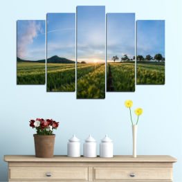 Landscape, Nature, Sunrise, Spring, Sun, Tree, Summer, Meadow, Sunny, Horizon, Grass, Plant, Field, Cloud, Land, Scenic, Farm, Country, Rural, Scenery, Countryside, Agriculture