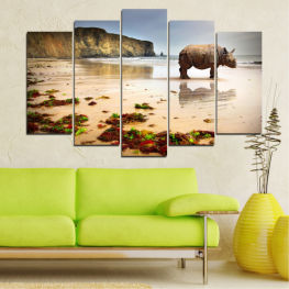 Пейзаж, Животни, Плаж, Вода, Слънце, Крайбрежие, Лято, Отпуснете се, Океан, Залив, Небе, Естествен, Остров, Вълна, Африка, Бряг, Пясък, Тропически, Скали, Облаци, Брегова линия, Пътуване, Ваканция, Рок, Носорог, Метеорологично време, На открито, Туризъм, Бряг