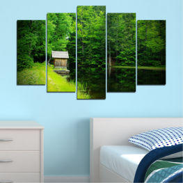 Landscape, Nature, Spring, Water, Forest, Tree, Trees, Summer, Natural, Leaf, House, Leaves, Grass, Plant, Outdoors, Park, Woody plant, Woods, Outdoor, Vascular plant, Foliage, Path, Birch