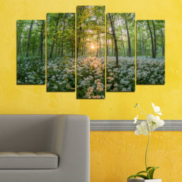 Цветя, Пейзаж, Природа, Пролет, Цвете, Слънце, Гора, Дърво, Градина, Дървета, Лято, Флора, Естествен, Поляна, Трева, Растение, На открито, Парк, Растения, Билка, Дървесни растения, Сезон, Съдово растение, Храст