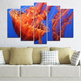 Animal, Water, Space, Light, Graphic, Color, Flame, Design, Fantasy, Jellyfish, Futuristic, Graphics, Motion, Shape, Pattern, Texture, Digital, Wallpaper, Fractal, Invertebrate