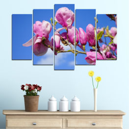 Flowers, Nature, Spring, Flower, Tree, Garden, Bouquet, Flora, Colorful, Tulip, Plant, Purple, Blossom, Bloom, Herb, Pink, Floral, Petal, Vascular plant, Tulips, Valentine, Stem