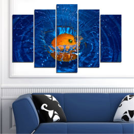 Животни, Вода, Светлина, Огън, Цветен, Капки, Нощ, Звезда, Графичен, Плодове, Цвят, Дизайн, Черно, Празник, Портокал, Медуза, Празненство, Блестя, Дигитален, Безгръбначно, Цитруси