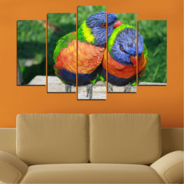 Wildlife, Birds, Exotic, Colorful, Color, Tropical, Feather, Parrot, Yellow, Bright, Wild, Bird, Feathers, Beak, Close, Macaw, Wing, Avian