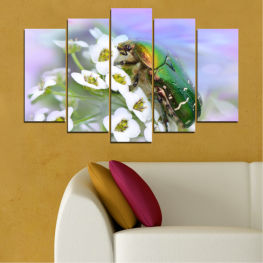 Flowers, Animal, Spring, Flower, Tree, Garden, Flora, Leaf, Plant, Blossom, Bloom, Beetle, Herb, Blooming, Floral, Branch, Petal, Vascular plant, Insect, Close, Cow parsley