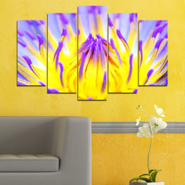 Flowers, Flower, Light, Colorful, Leaf, Graphic, Plant, Color, Design, Yellow, Shape, Pattern, Floral, Pollen, Texture, Lotus, Backdrop, Wallpaper, Backgrounds, Blaze, Water violet