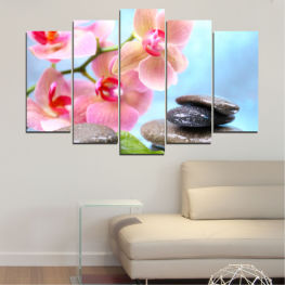 Flowers, Feng shui, Orchid, Water, Flower, Relax, Zen, Bamboo, Stones, Spa, Japan, Relaxation, Stone, Harmony, Balance, Health, Rock, Meditation, Pink, Therapy, Pebble, Treatment, Stack, Pile