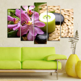 Flowers, Feng shui, Orchid, Flower, Relax, Zen, Bamboo, Stones, Spa, Plant, Relaxation, Candle, Stone, Health, Pink, Aroma, Therapy, Confectionery, Massage, Petal, Candy, Treatment, Aromatherapy