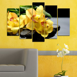 Flowers, Orchid, Water, Flower, Garden, Zen, Stones, Spa, Leaf, Fresh, Plant, Color, Food, Orange, Fruit, Yellow, Herb, Floral, Petal, Vascular plant, Edible fruit, Close, Produce, Citrus, Lemon, Garnish