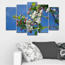 Flowers, Nature, Spring, Flower, Tree, Garden, Flora, Leaf, Plant, Blossom, Fruit, Bloom, Woody plant, Season, Blooming, Apple, Branch, Petal, Vascular plant, Shrub, Crape myrtle