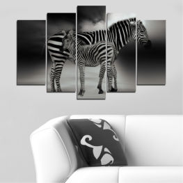 Animal, Wildlife, Horse, Collage, Grass, Portrait, Park, Black, Wild, Zebra, Safari, Herbivore, National, Mammal, Ungulate, Equine, Stripes, Striped, Game, Reserve, Stripe, Zebras