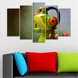 Abstraction, Animal, Wildlife, Animals, Collage, Frog, Fauna, Ladybug, Lean out, Amphibians, Eye frog, Crazy frog, Eyed leaf frog, Bulging, Frogs, Look, Eyed tree frog, Eyed, Amphibian, Tree frog