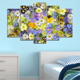 Flowers, Spring, Flower, Daisy, Garden, Summer, Flora, Collage, Sunflower, Plant, Blossom, Field, Yellow, Bloom, Herb, Blooming, Floral, Petal, Vascular plant, Angiosperm, Aster