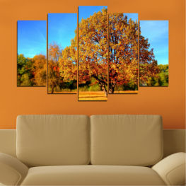 Landscape, Nature, Forest, Tree, Trees, Autumn, Leaf, Leaves, Grass, Plant, Outdoors, Park, Yellow, Fall, Woody plant, Season, Branch, Vascular plant, Maple