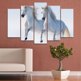 Animal, Horse, Frozen kingdom, Grass, Portrait, Snow, Winter, Wild, Freedom, Brown, Farm, Free, Horses, Mammal, Stallion, Equine, Equestrian, Mare, Mane, Domestic, Purebred, Running