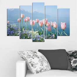 Flowers, Nature, Spring, Flower, Garden, Bouquet, Summer, Flora, Colorful, Tulip, Plant, Purple, Blossom, Park, Field, Bloom, Floral, Tulips, Grow, Dutch