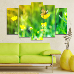 Flowers, Nature, Spring, Flower, Garden, Summer, Butterfly, Flora, Natural, Meadow, Leaf, Grass, Fresh, Plant, Blossom, Field, Yellow, Bloom, Plants, Herb, Season, Floral, Pollen, Botany, Vascular plant, Buttercup, Organism, Rural