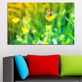 Flowers, Nature, Spring, Flower, Garden, Summer, Butterfly, Flora, Natural, Meadow, Leaf, Grass, Fresh, Plant, Blossom, Field, Yellow, Bloom, Plants, Herb, Season, Floral, Pollen, Botany, Vascular plant, Buttercup, Organism, Rural
