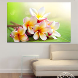 Flowers, Spring, Flower, Bouquet, Summer, Flora, Natural, Decoration, Freshness, Island, Leaf, Fresh, Plant, Blossom, Plumeria, Harmony, Gift, Yellow, Elegance, Bloom, Pink, Petals, Aroma, Floral, Petal