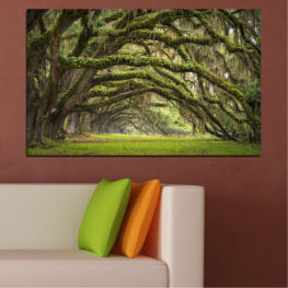 Landscape, Nature, Spring, Forest, Tree, Trees, Summer, Natural, Wood, Leaf, Leaves, Plant, Outdoors, Park, Peaceful, Environment, Woody plant, Woodland, Woods, Outdoor, Branches, Vascular plant, Willow, Foliage