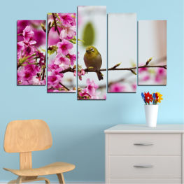 Flowers, Nature, Spring, Flower, Birds, Tree, Garden, Flora, Natural, Colorful, Plant, Blossom, Fruit, Bright, Wild, Bird, Bloom, Pink, Season, Blooming, Apple, Branch, Edible fruit, Cherry, Crab apple