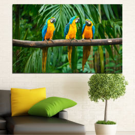 Animal, Wildlife, Forest, Birds, Tree, Animals, Exotic, Natural, Colorful, Tropical, Feather, Parrot, Yellow, Wild, Vivid, Bird, Fauna, Feathers, Beak, Macaw, Wing, Avian, Parakeet
