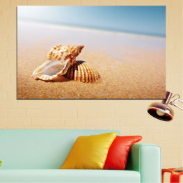 Sea, Animal, Beach, Water, Coast, Summer, Exotic, Ocean, Sky, Natural, Seaside, Sand, Tropical, Relaxation, Travel, Vacation, Shell, Seashell, Conch, Hermit crab, Crustacean, Gastropod, Mollusk, Invertebrate, Arthropod